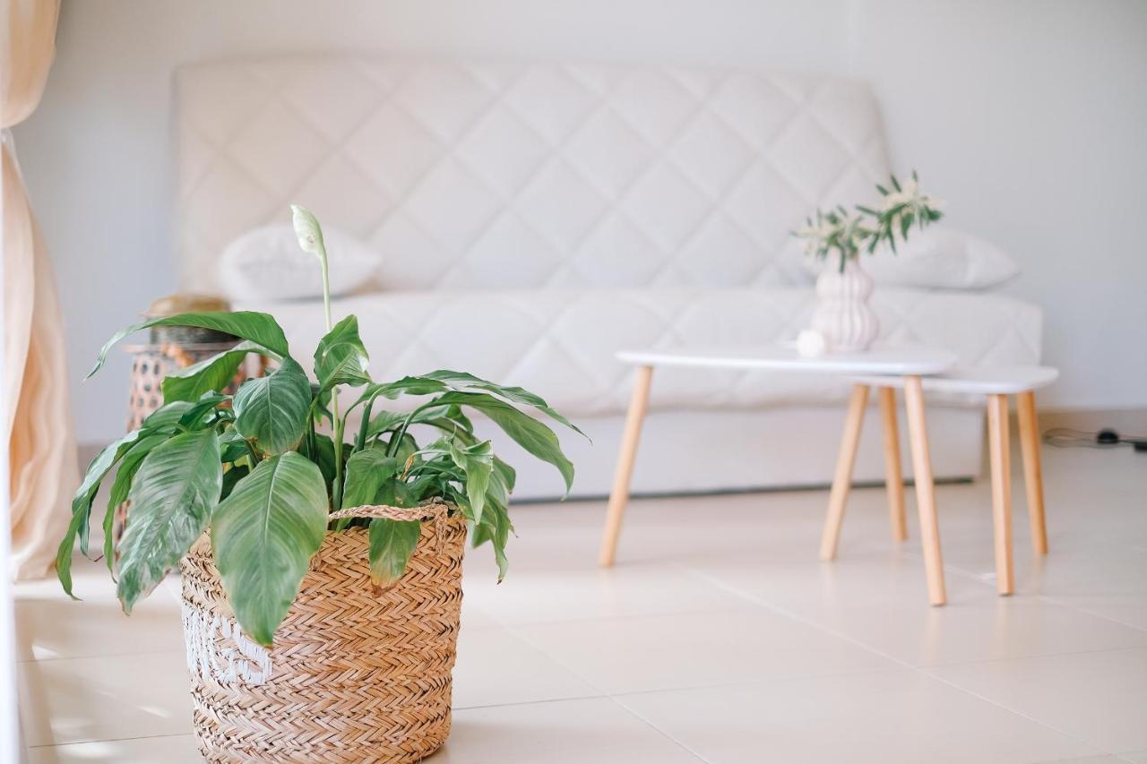 Oasis Garden House Daire Nea Iraklitsa Dış mekan fotoğraf